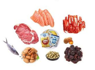Food Transport