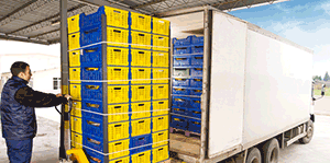 Temperature Cargo Monitoring