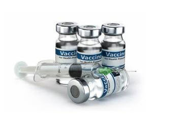 Vaccine Transport